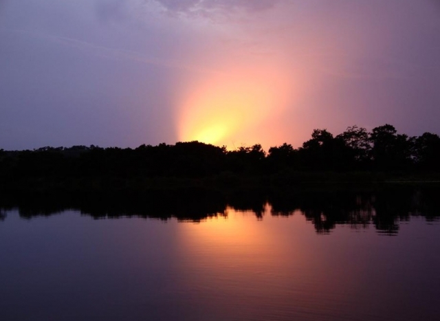 Atardecer en el manglar